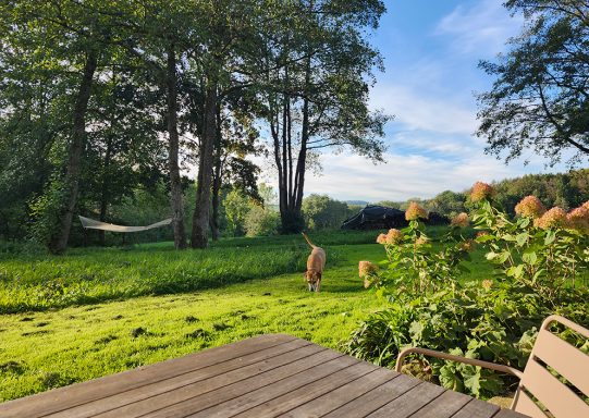Aussicht von Terrasse Ausblick Terrasse